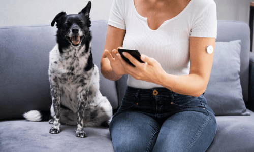 Close-up of woman's torso with hands holding a smartphone, wearing a CGM sensor on her upper arm & sitting next to her dog on the sofa