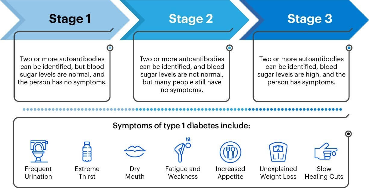 Three stages of type 1 diabetes